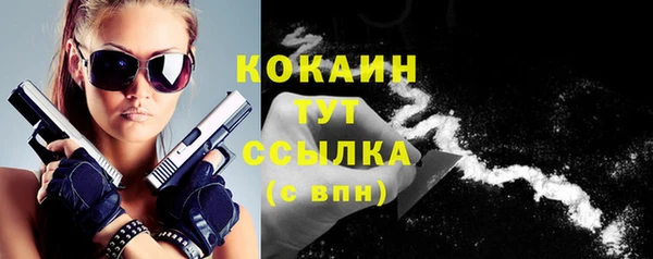 твердый Ладушкин