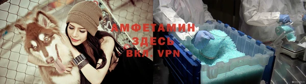твердый Ладушкин