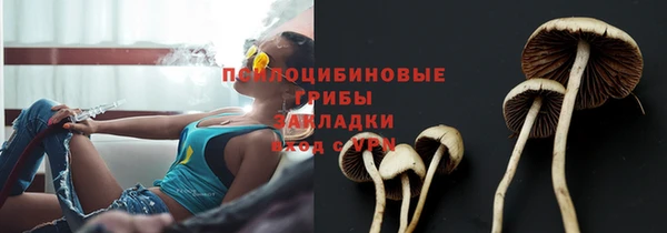 твердый Ладушкин