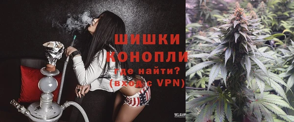 твердый Ладушкин