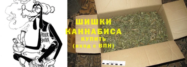 твердый Ладушкин
